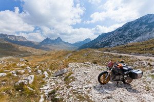 IMG_5555