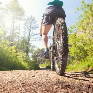 Mountain biker on a forest trail