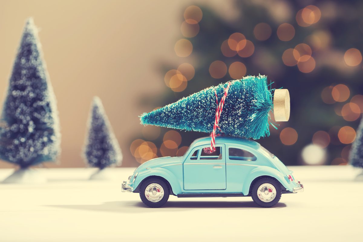 Car carrying a Christmas tree
